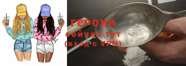 прущие грибы Архангельск