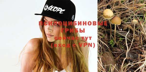 PSILOCYBIN Нижний Тагил