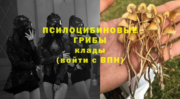 гашик Краснотурьинск