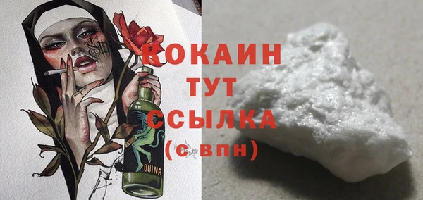 сатива Куйбышев
