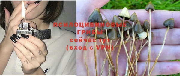 PSILOCYBIN Нижний Тагил