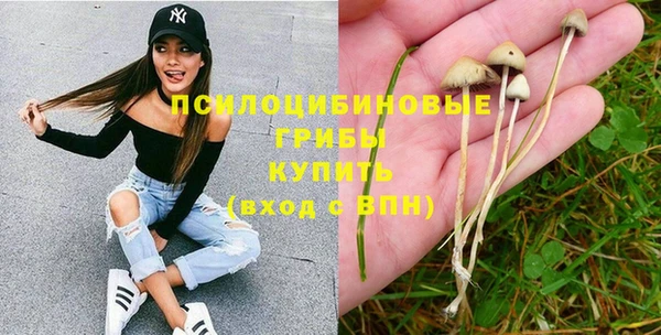 а пвп мука Краснослободск