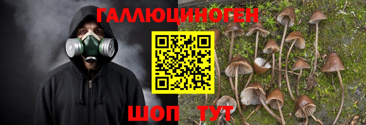 Псилоцибиновые грибы ЛСД  Вход с VPN  Ангарск 